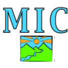 MIC 2021 Fundraiser - logo